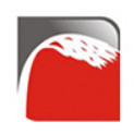 Florida Southern Roofing logo