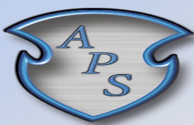 All Pro Services, LLC logo