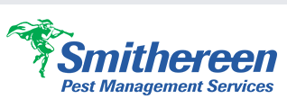 Smithereen logo