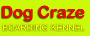 Dog Craze Boarding Kennel logo