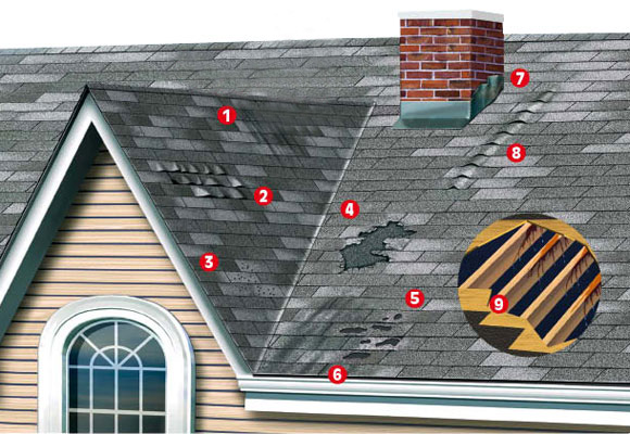 DryTech Roofing LLC photo