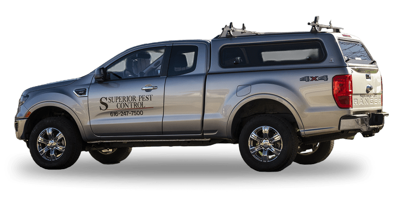 Superior Pest photo