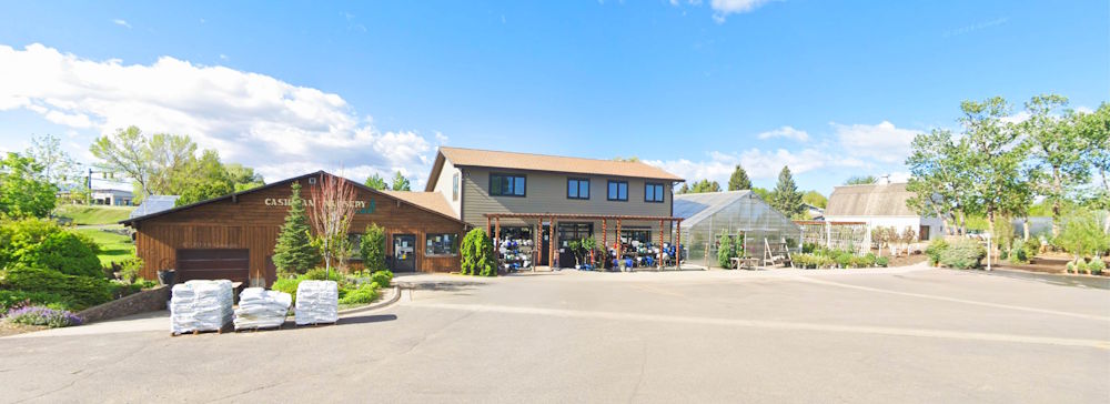 Cashman Nursery & Landscaping photo