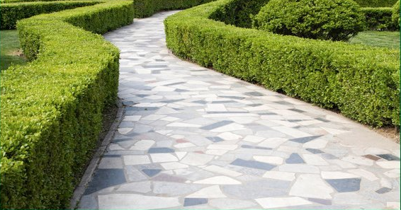 Total Package Landscape Service Inc photo