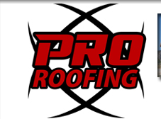 Pro Roofing logo