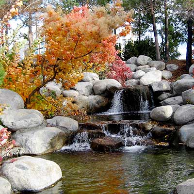 Seasons West Inc photo