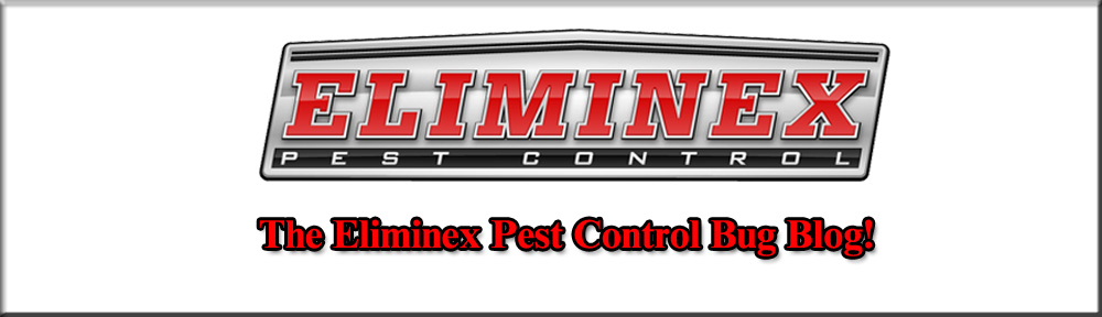 Eliminex Pest Control photo