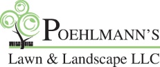 Plumbing Dallas TX logo